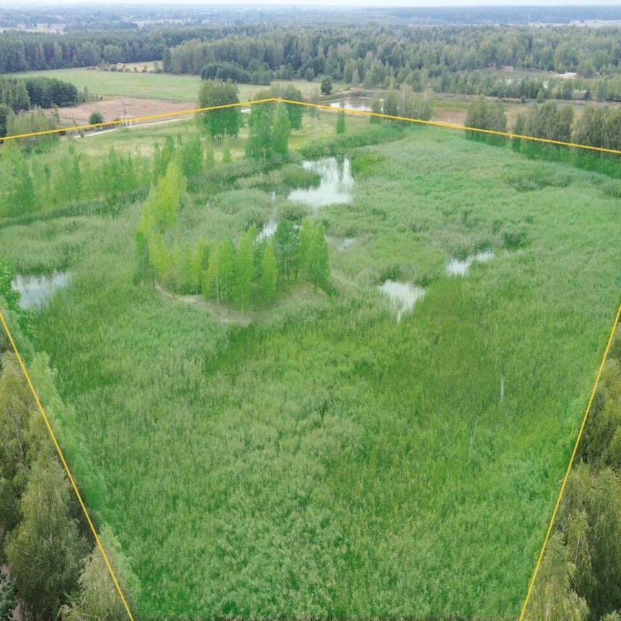 podkarpackie, rzeszowski, Głog&oacute;w Małopolski, Budy Głogowskie, Działka rolna ze stawem - Budy Głogowskie  - gmina Głog&oacute;w Małopolski