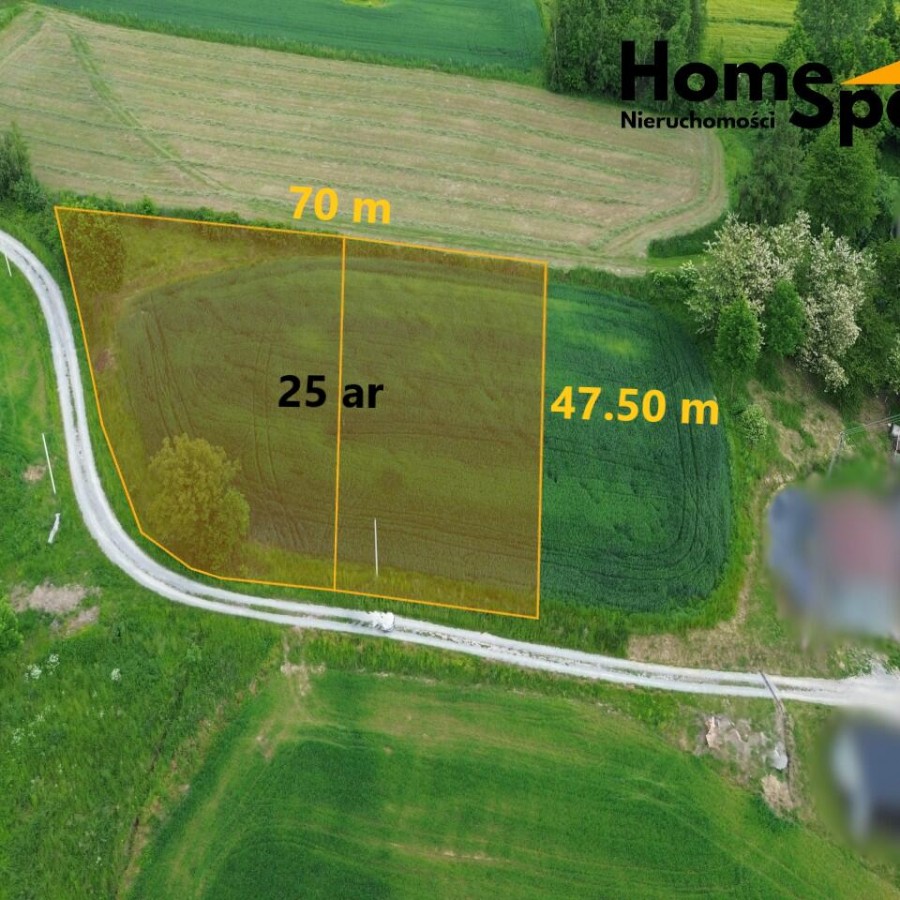 podkarpackie, ropczycko-sędziszowski, Wielopole Skrzyńskie, Brzeziny, Działka na sprzedaż- Brzeziny, gmina Wielopole Skrzyńskie