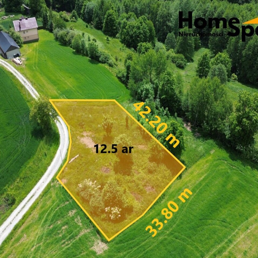 podkarpackie, ropczycko-sędziszowski, Wielopole Skrzyńskie, Brzeziny, Działka na sprzedaż- Brzeziny, gmina Wielopole Skrzyńskie