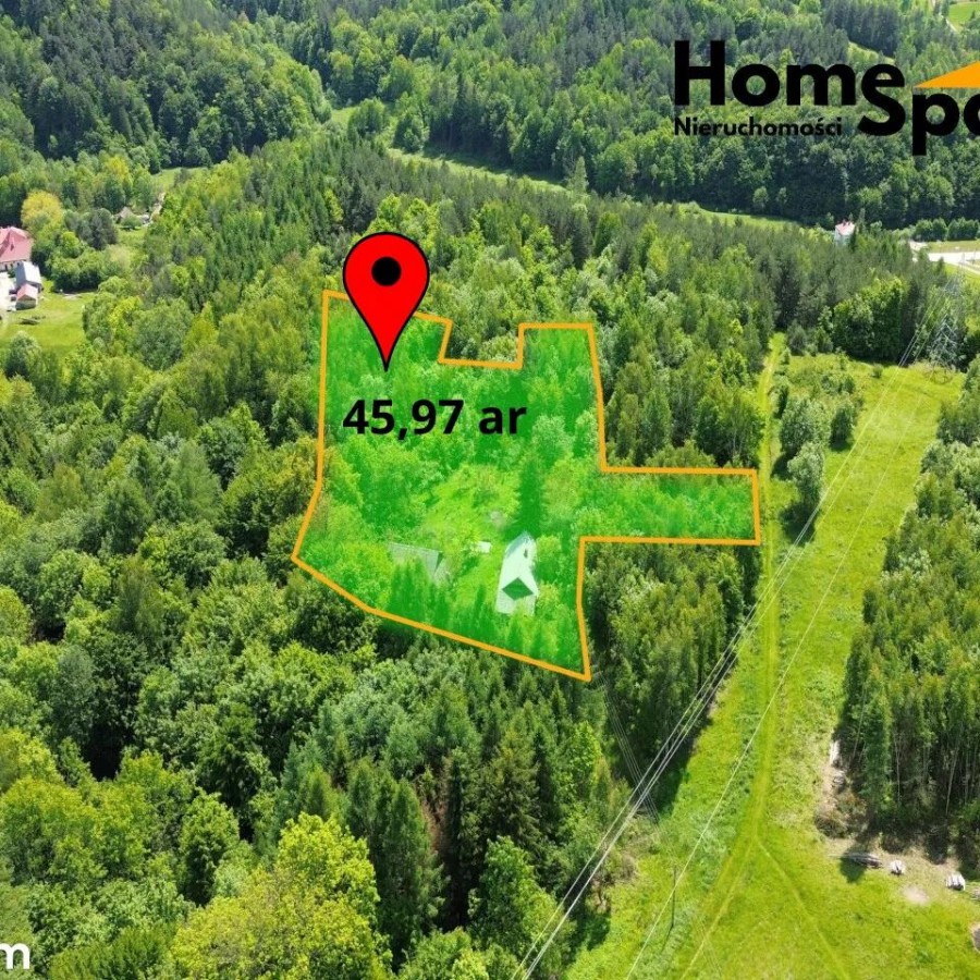 podkarpackie, brzozowski, Dydnia, Obarzym, Siedlisko na sprzedaż - Obarzym, gm. Dydnia